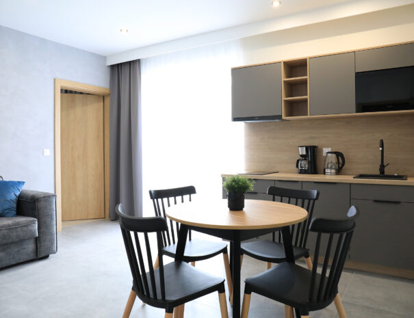 Nowoczesne apartamenty PATIO w Łagowie Lubuskim - salon z aneksem kuchennym